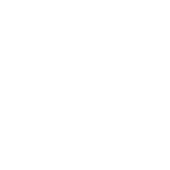 Shapes Design Studio Logo 5-01